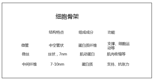 陕西教师招聘考试：高中生物《细胞骨架》教案